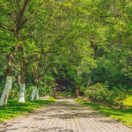 Lesniczowka Pod Sniezka Отель типа 