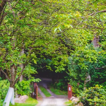 Lesniczowka Pod Sniezka