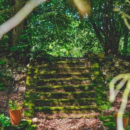 Lesniczowka Pod Sniezka Отель типа 