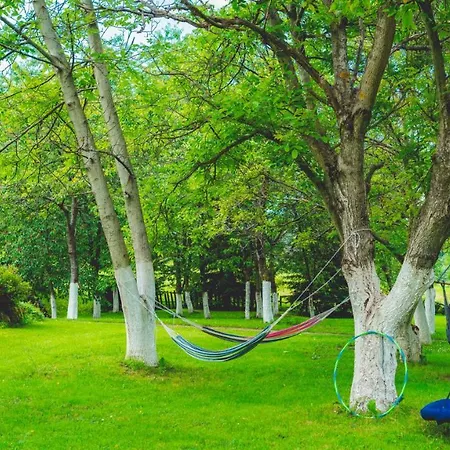 Lesniczowka Pod Sniezka Отель типа 