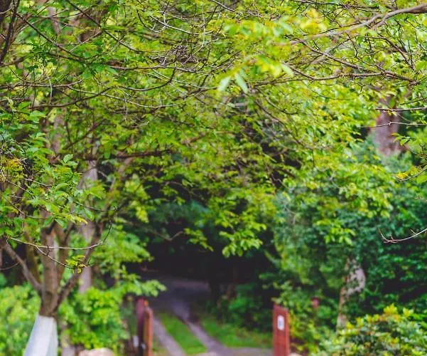 Lesniczowka Pod Sniezka