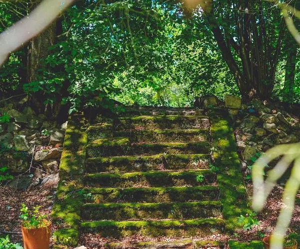 Lesniczowka Pod Sniezka Bed & Breakfast Bukowiec (Lower Silesia)