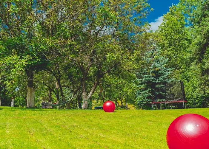 Bed & Breakfast Lesniczowka Pod Sniezka Bukowiec (Lower Silesia)