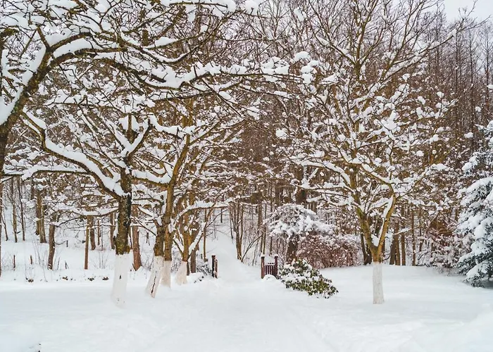 Leśniczówka Pod śnieżką Alojamento de Acomodação e Pequeno-almoço 3*